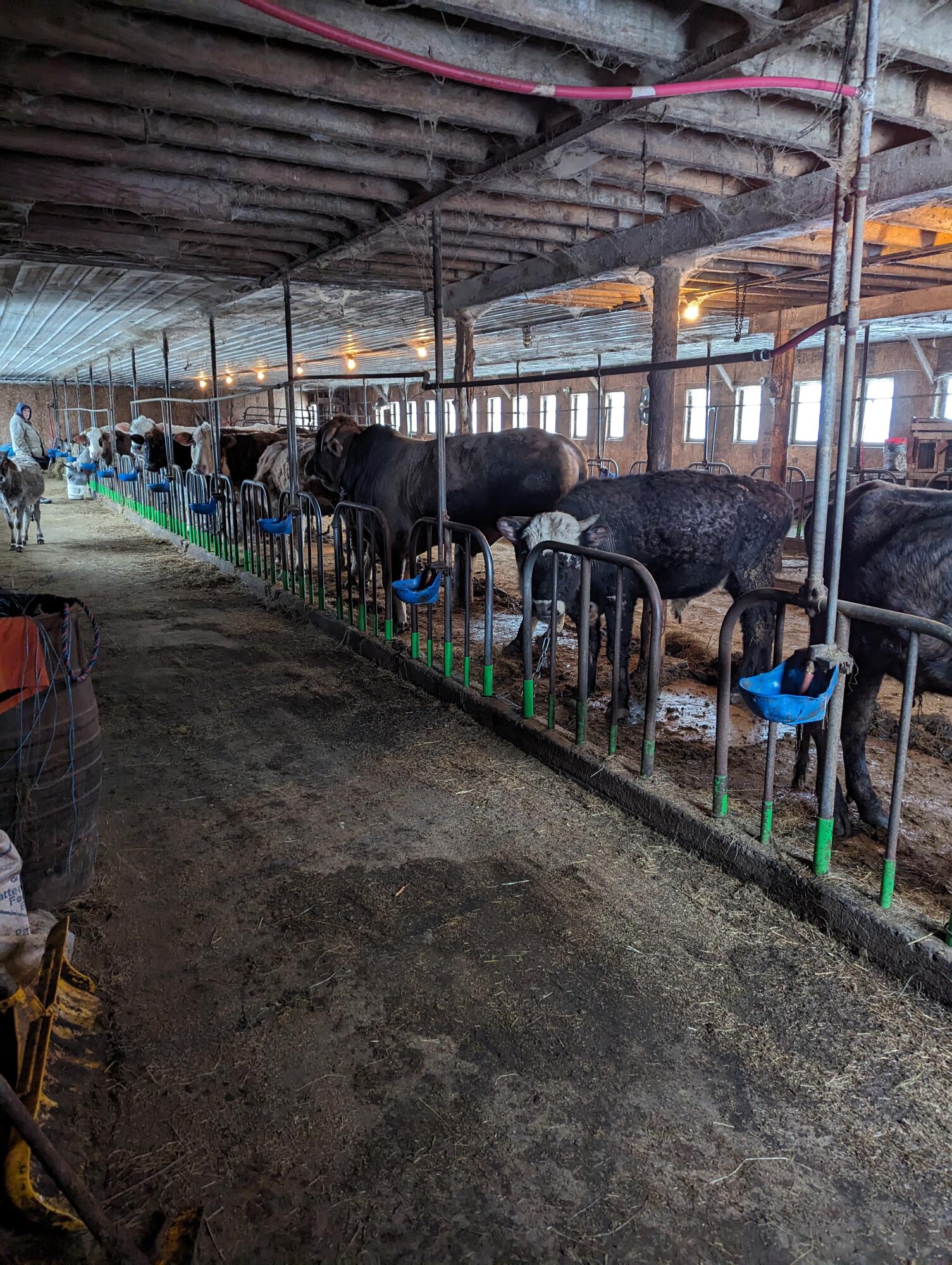 281 Pikeville Road Burke NY 12917