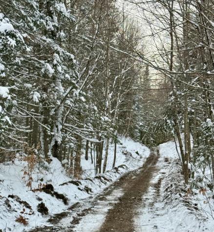 37 Trombley Road Malone NY 12953