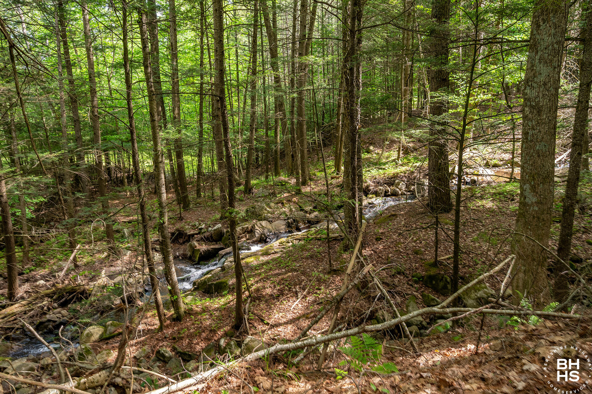 12 Boquet Drive Elizabethtown NY 12932