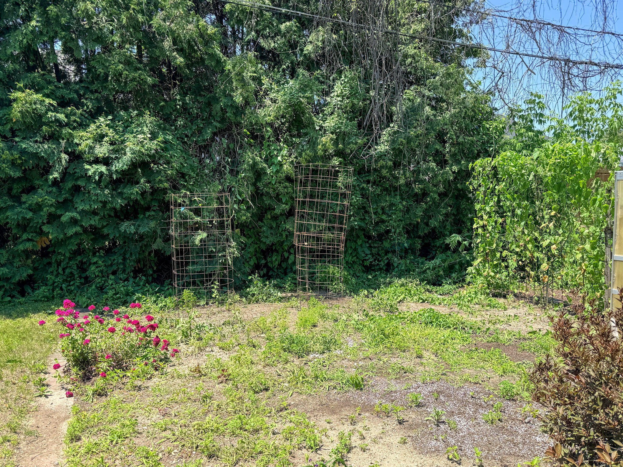 33 Addoms Street Plattsburgh NY 12901