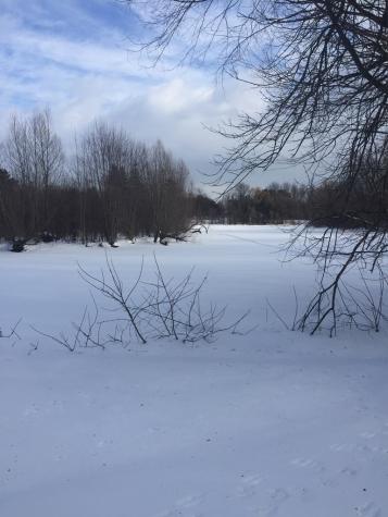 1282 Fiske Road Chazy NY 12921