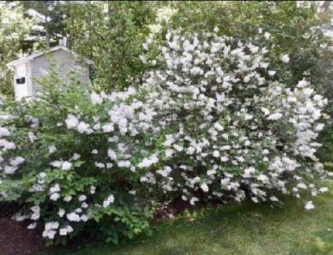 29 Kimberly Lane Morrisonville NY 12962