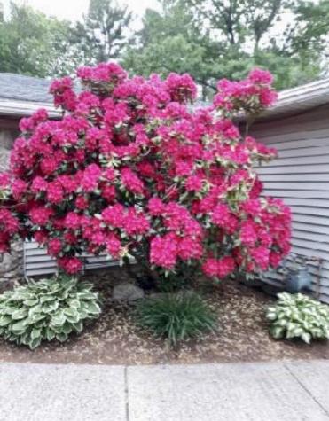 29 Kimberly Lane Morrisonville NY 12962