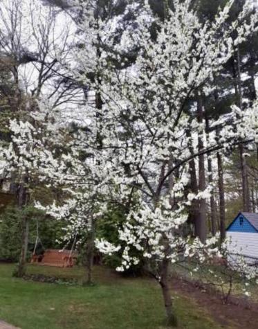 29 Kimberly Lane Morrisonville NY 12962