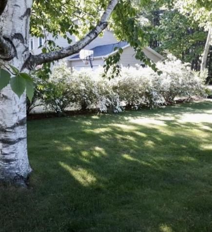 29 Kimberly Lane Morrisonville NY 12962