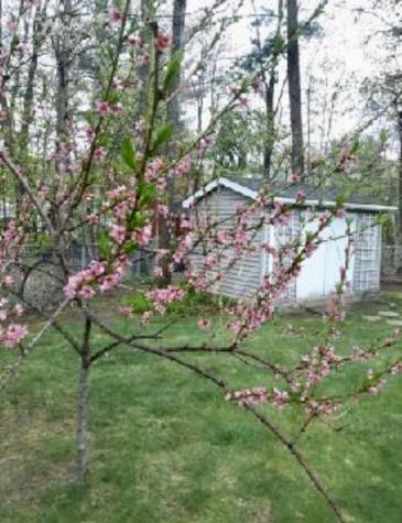 29 Kimberly Lane Morrisonville NY 12962