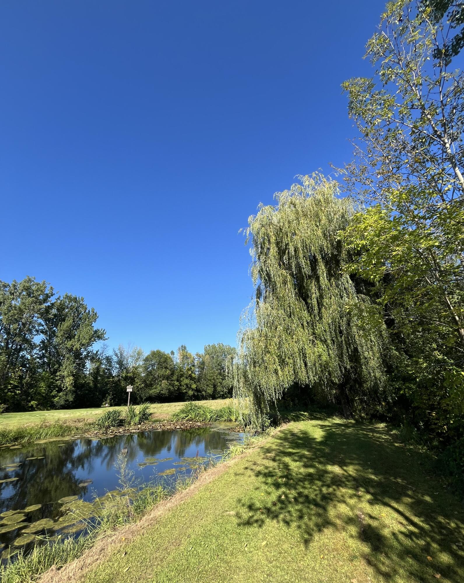 10 Willow Way Morrisonville NY 12962