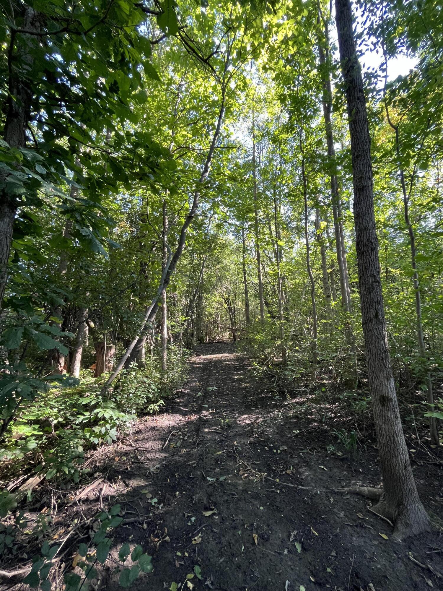 10 Willow Way Morrisonville NY 12962