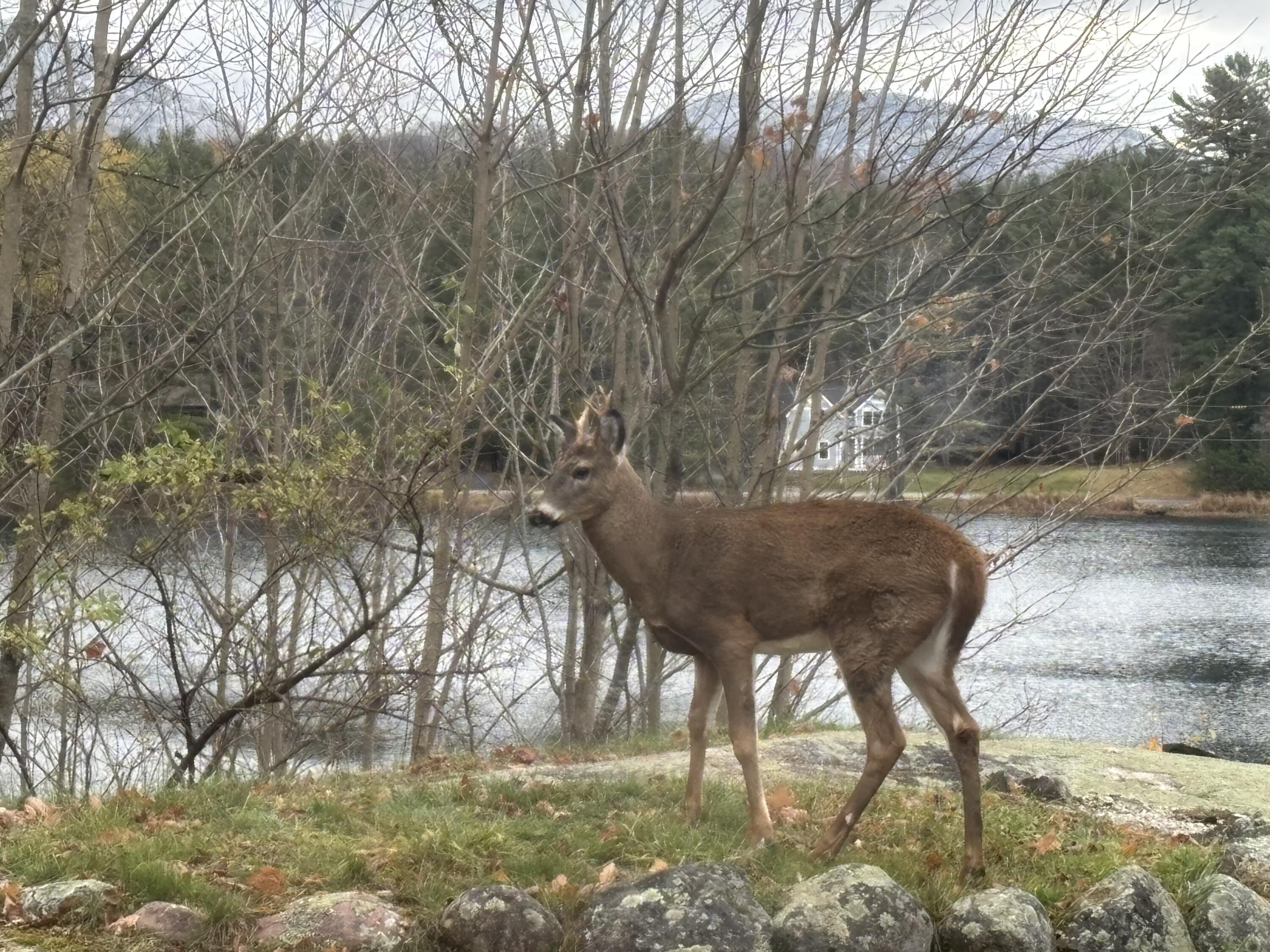 9 Ridge Way Saranac Lake NY 12983