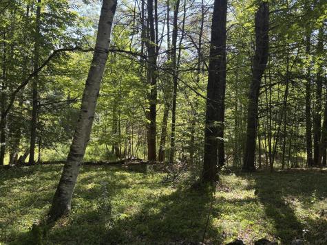 38 Denton Road Elizabethtown NY 12932