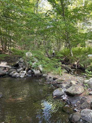 38 Denton Road Elizabethtown NY 12932