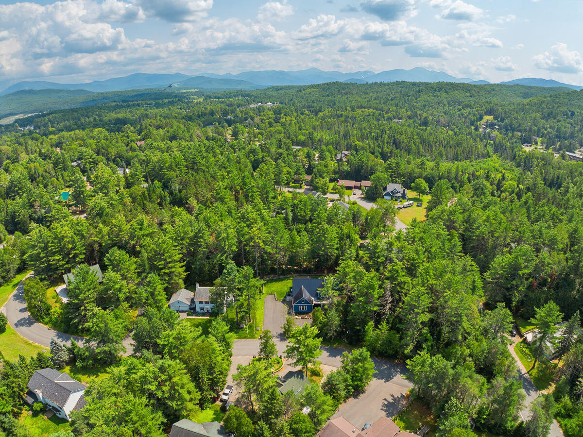 81 Blueberry Ridge Road Lake Placid NY 12946