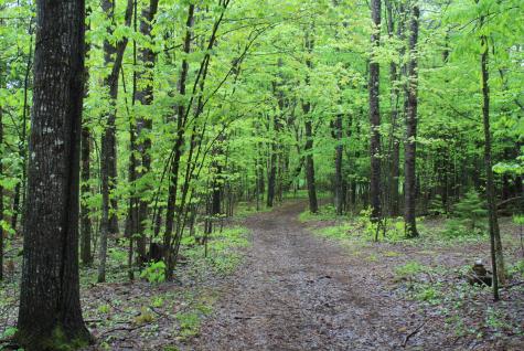 230 Teboville Road Malone NY 12953