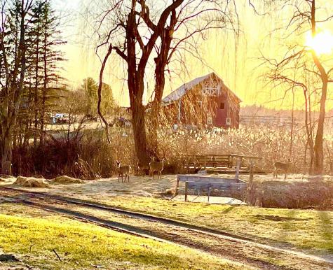 801 Mace Chasm Road Keeseville NY 12944