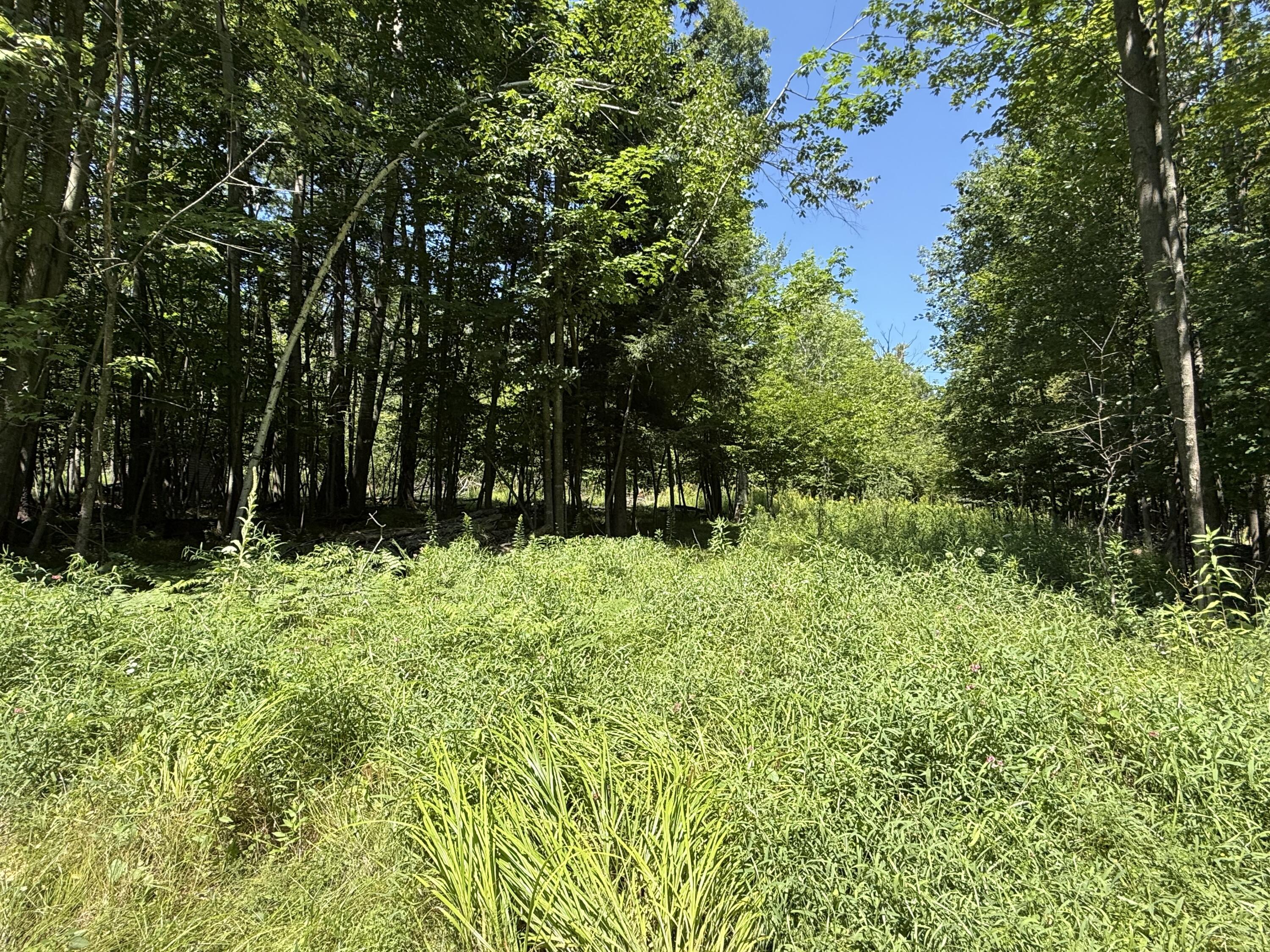 39 & 44 Glomann Road Keeseville NY 12944