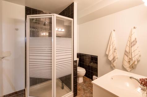 3368 County Route 26 Loon Lake NY 12989