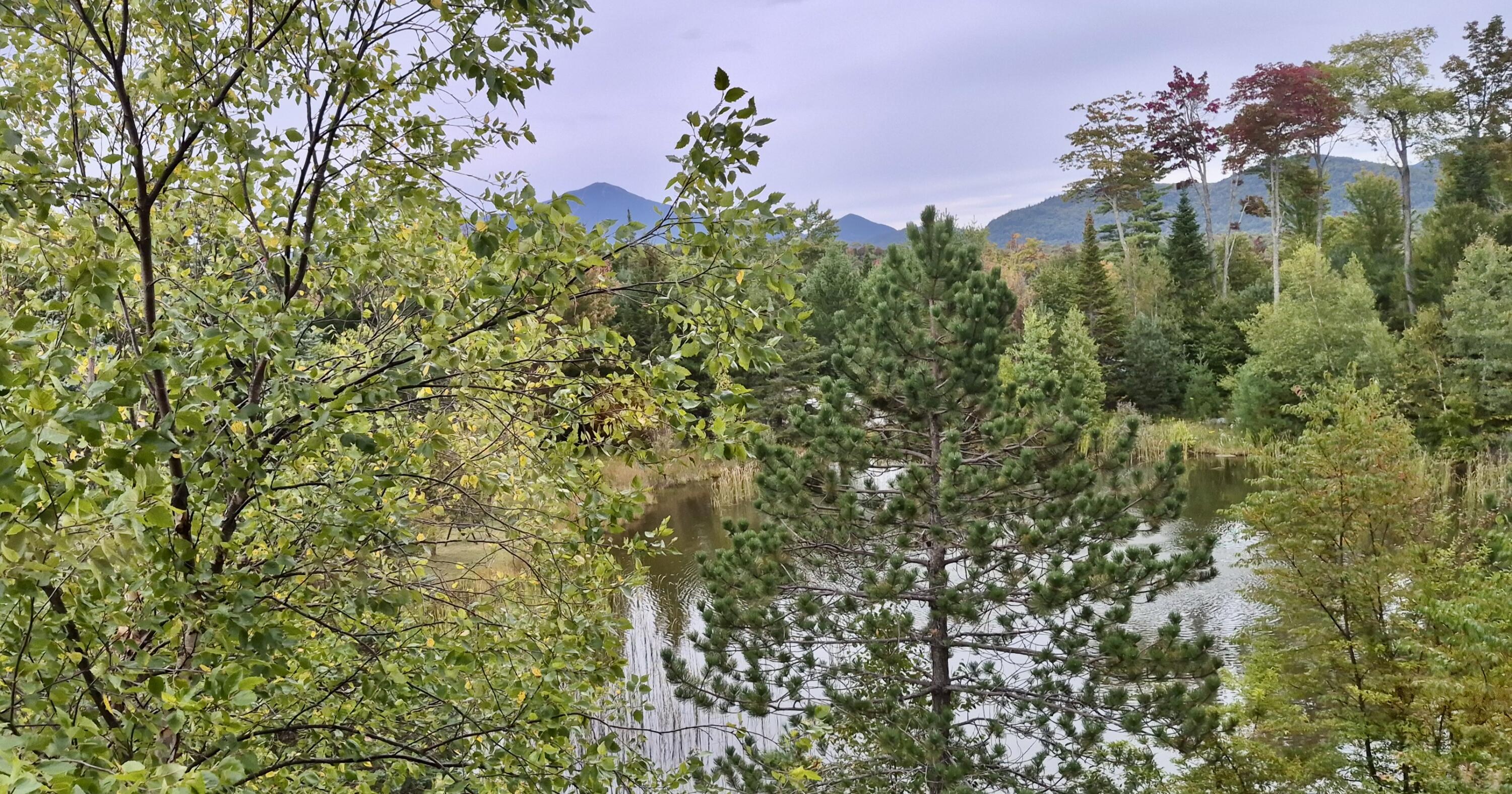 7 Whiteface Inn Lane Lake Placid NY 12946