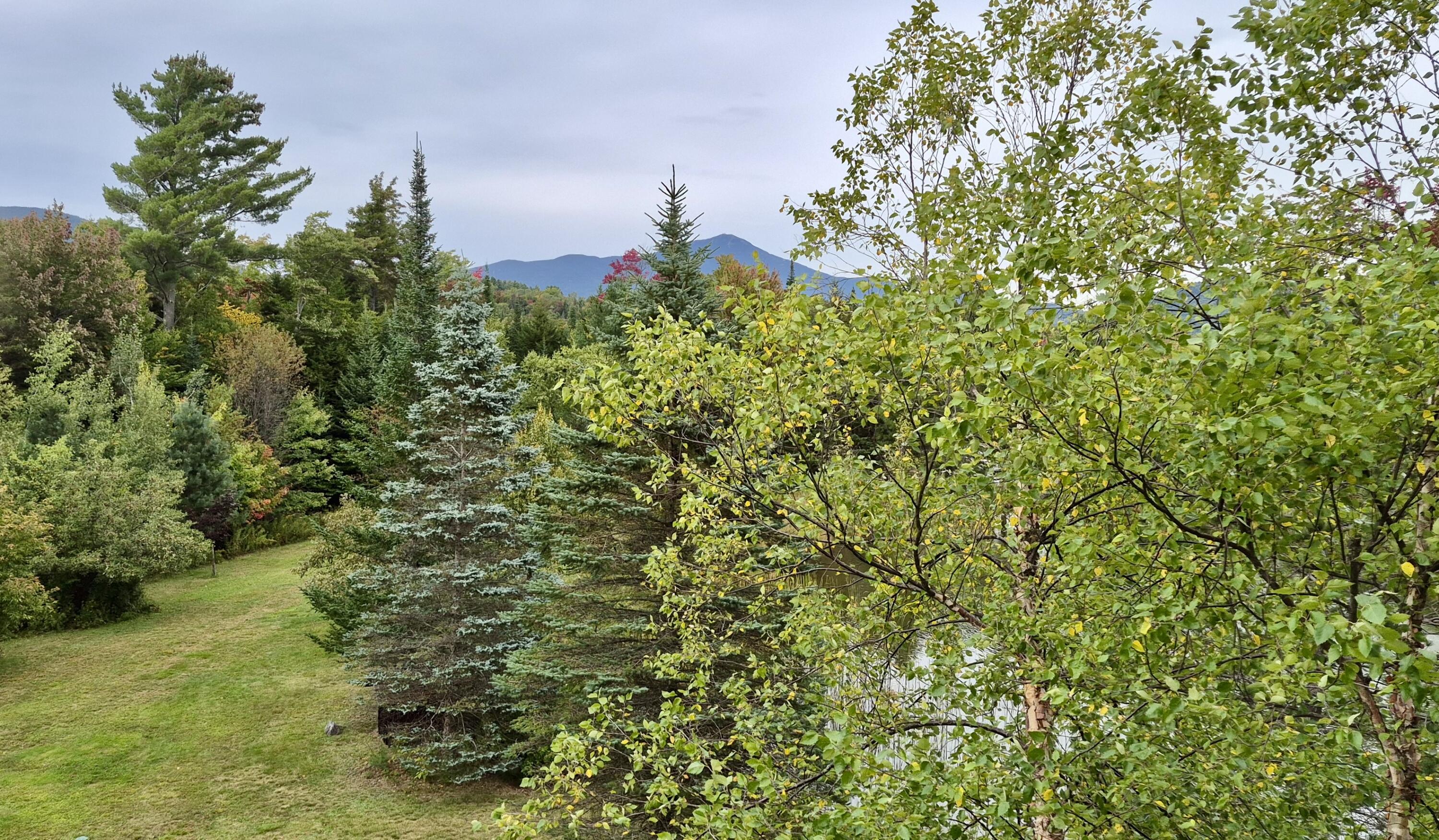 7 Whiteface Inn Lane Lake Placid NY 12946