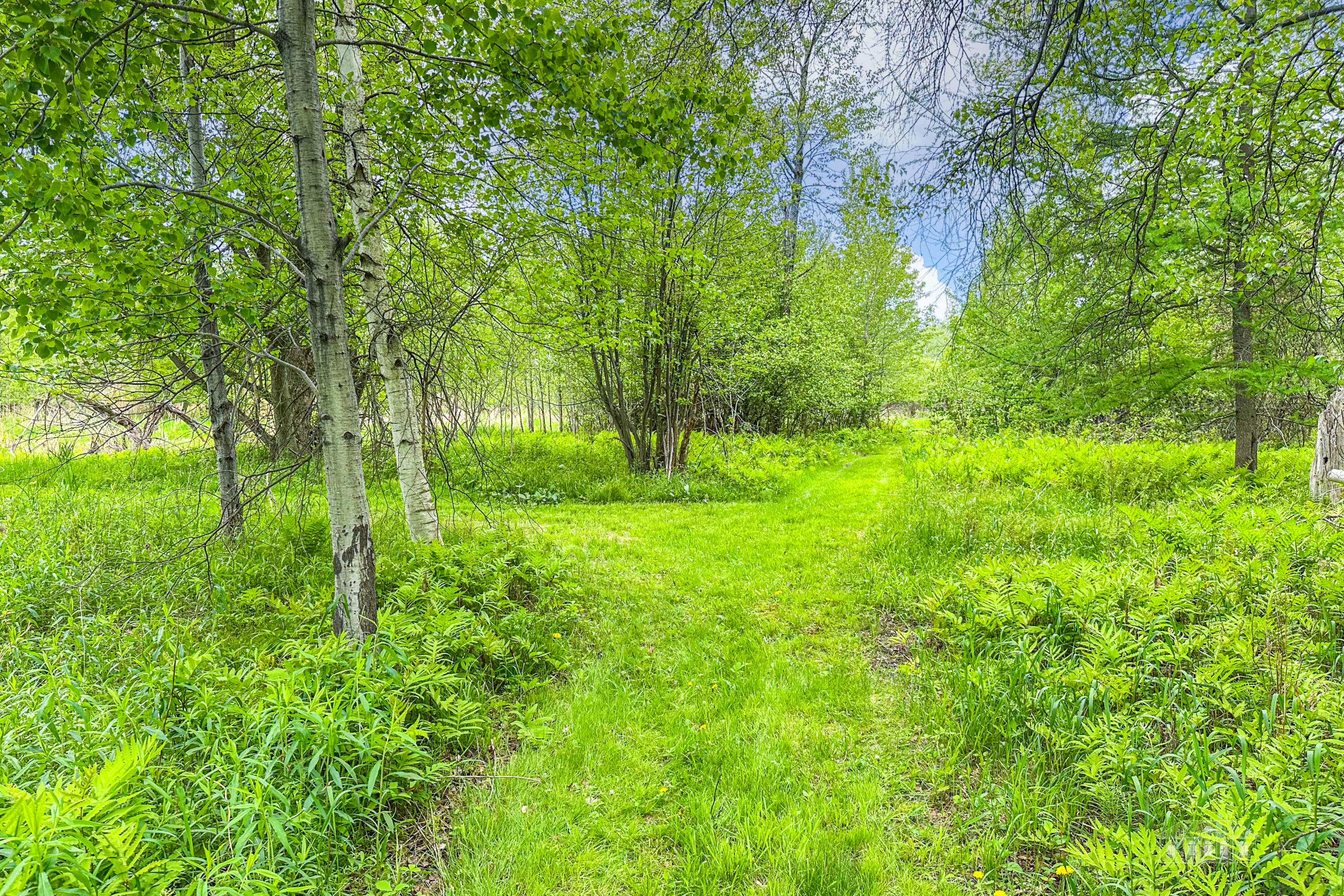 163 Callahan Road Burke NY 12917