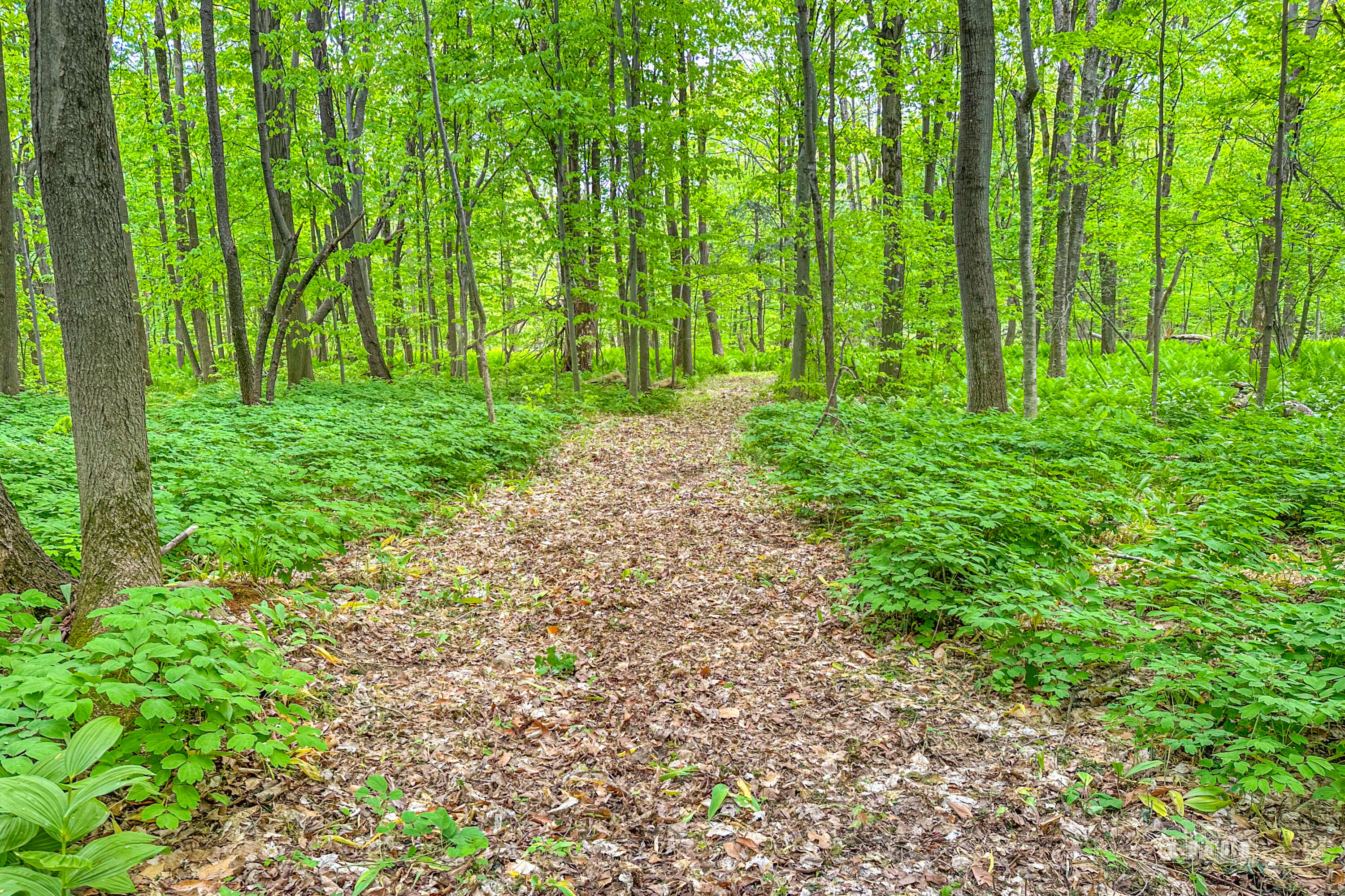163 Callahan Road Burke NY 12917