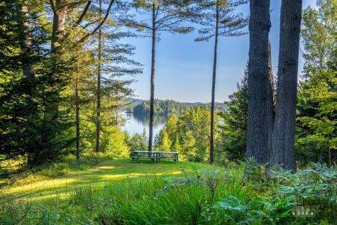144 County Road, 45(panther Mt Road) Tupper Lake NY 12986