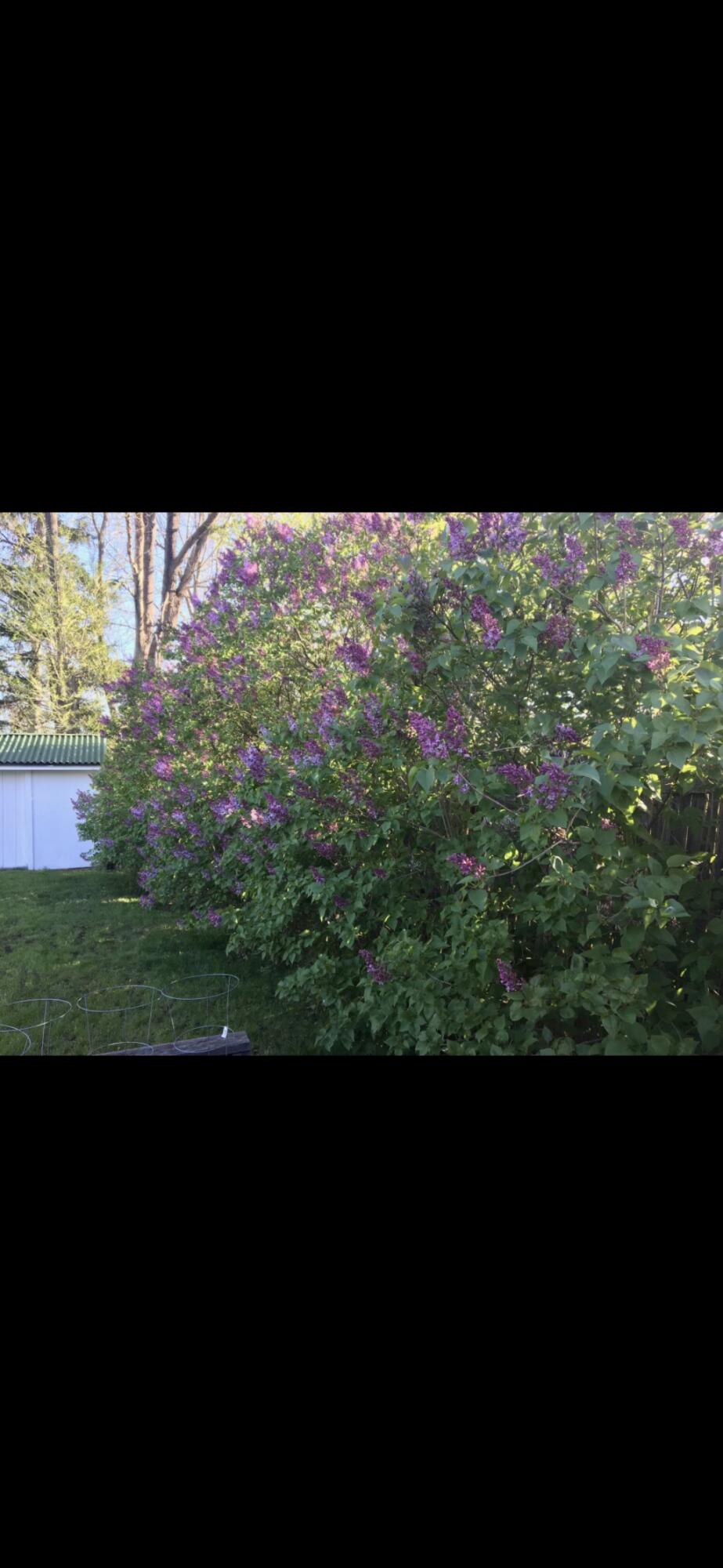 772 Bear Swamp Road Peru NY 12972