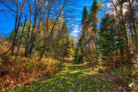 372 County Route 50 Lake Clear NY 12945