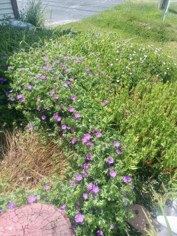 4359 State Route 3 Redford NY 12978