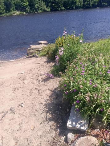 4359 State Route 3 Redford NY 12978