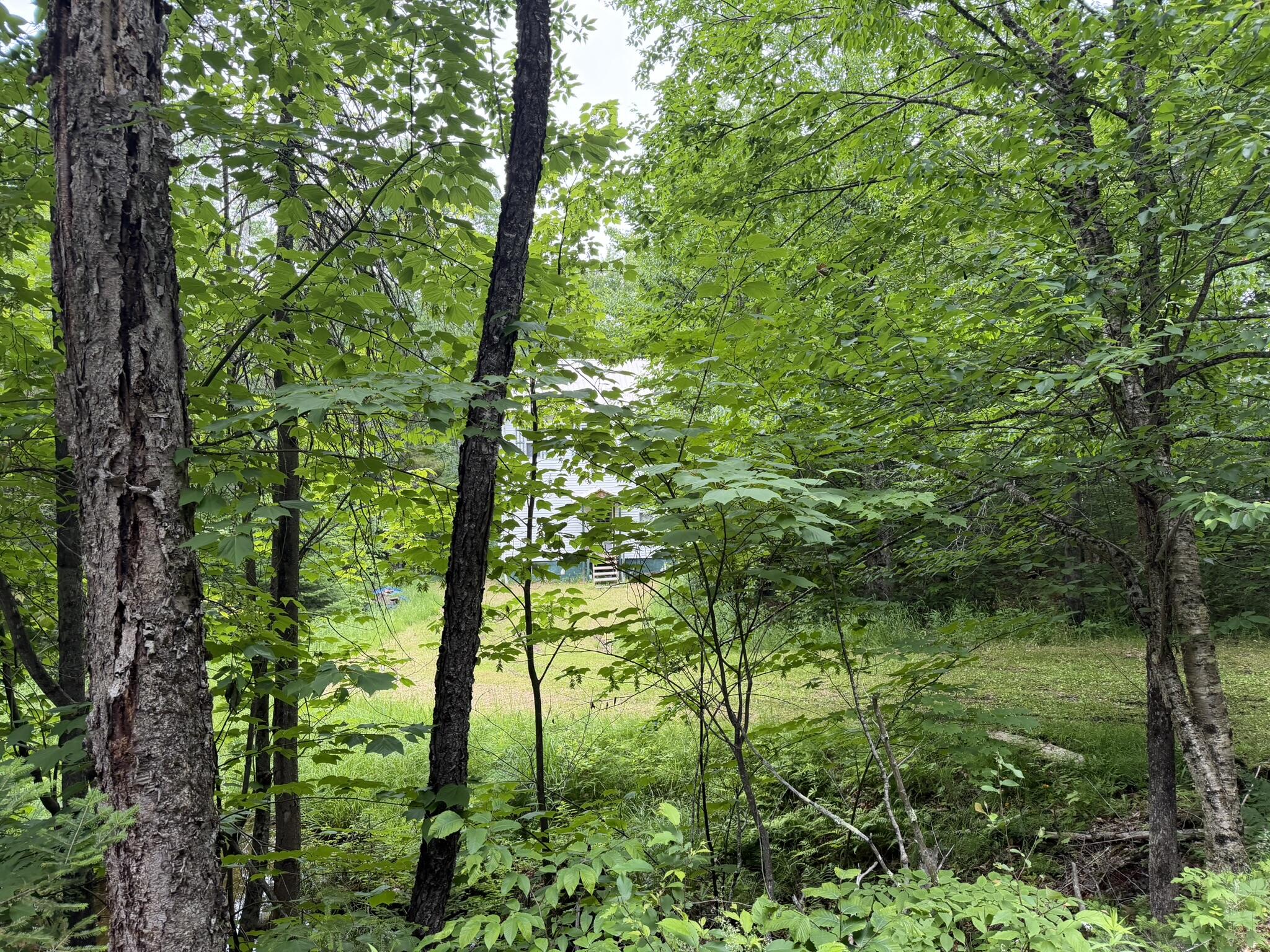 1732 Goodnow Flow Road Newcomb NY 12852