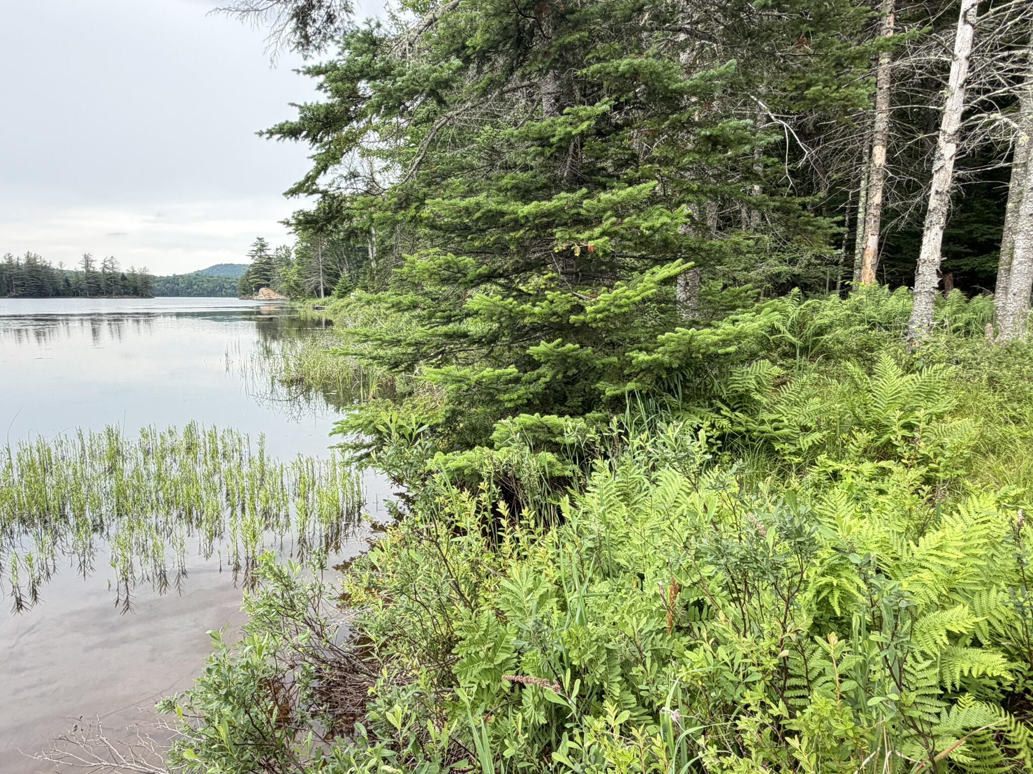 1732 Goodnow Flow Road Newcomb NY 12852