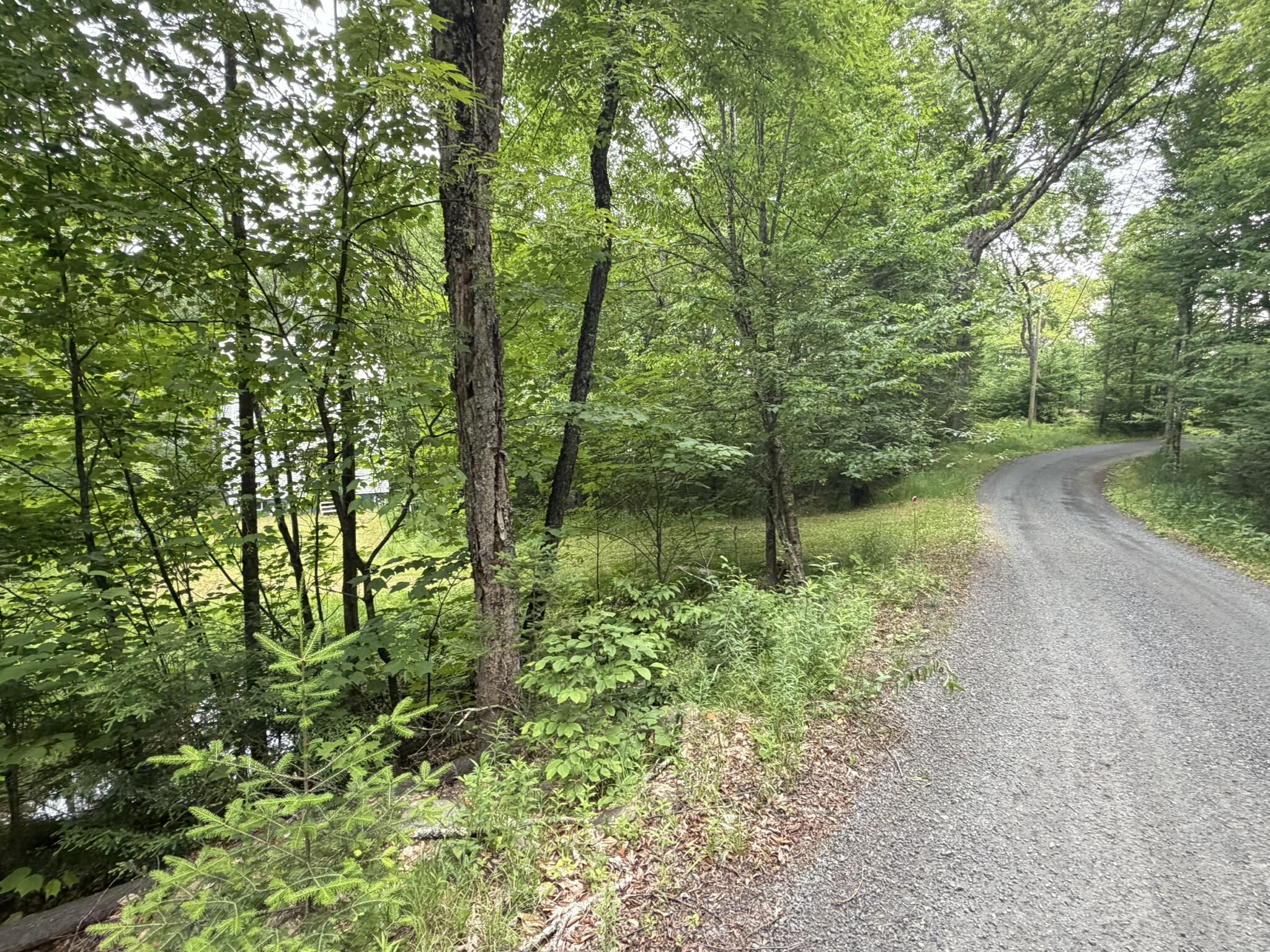 1732 Goodnow Flow Road Newcomb NY 12852