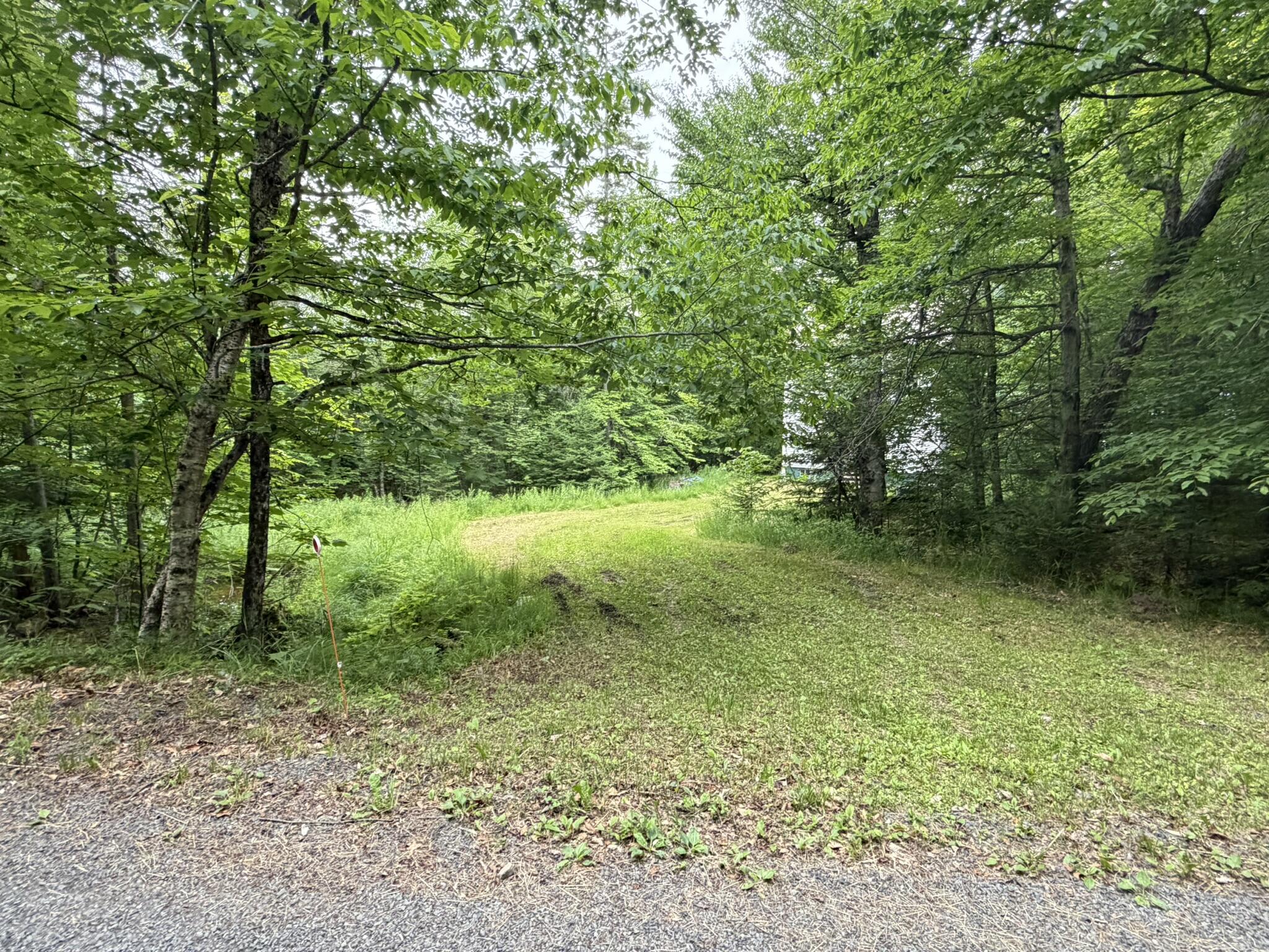 1732 Goodnow Flow Road Newcomb NY 12852