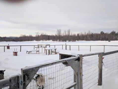 393 General Leroy Manor Road Morrisonville NY 12962