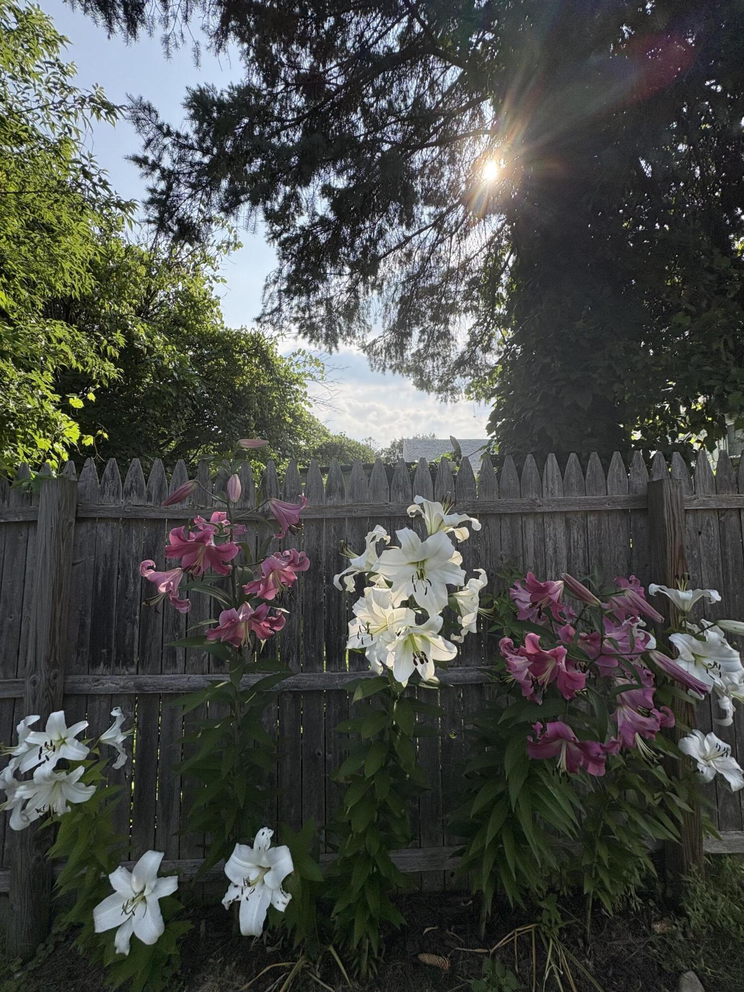81 Johnson Avenue Plattsburgh NY 12901