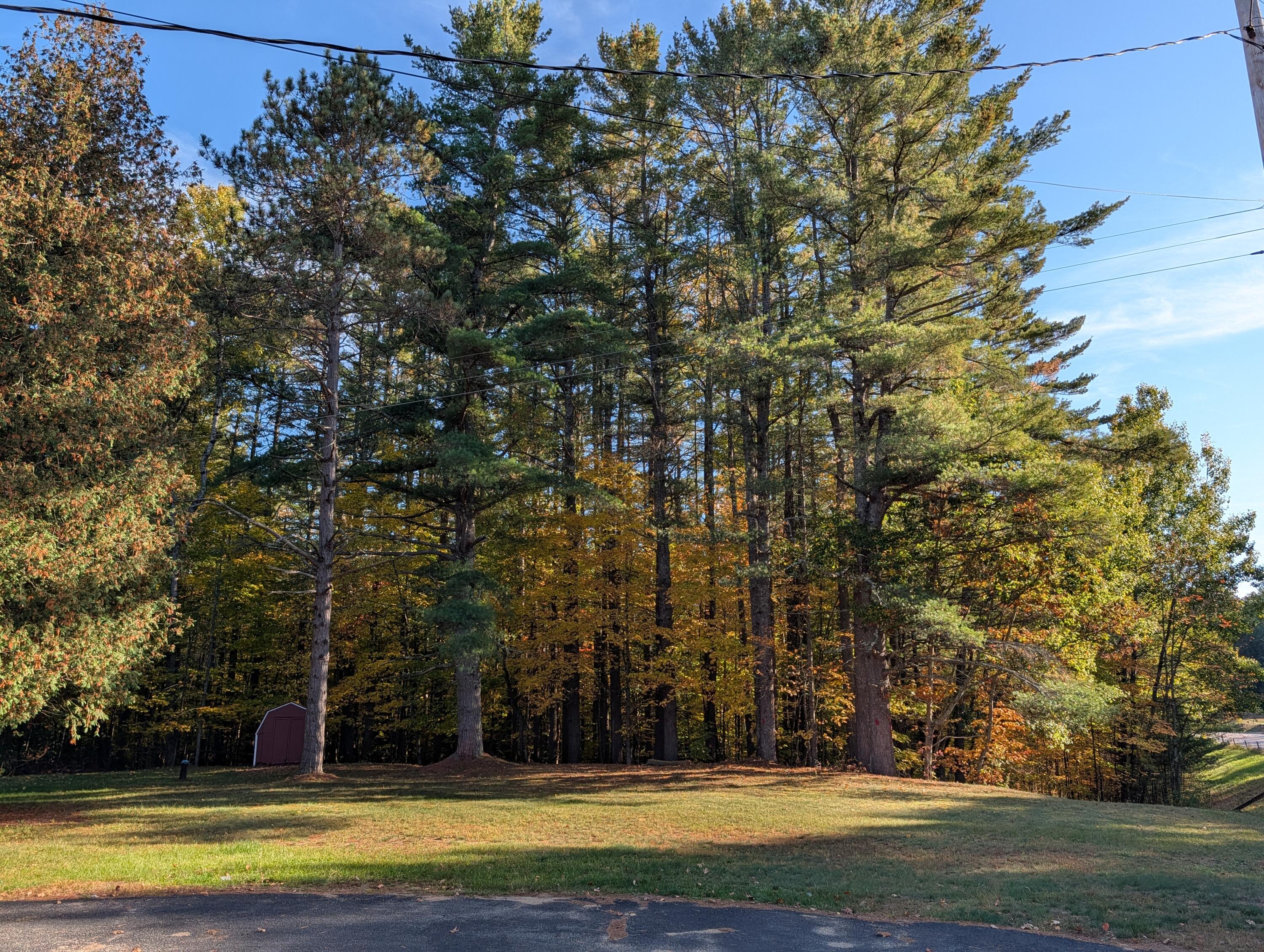 8286 Us-9 Lewis NY 12950