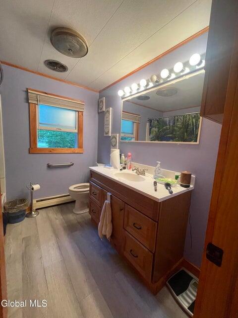 176 Alder Meadow Road Schroon Lake NY 12870