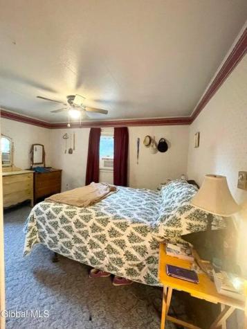176 Alder Meadow Road Schroon Lake NY 12870