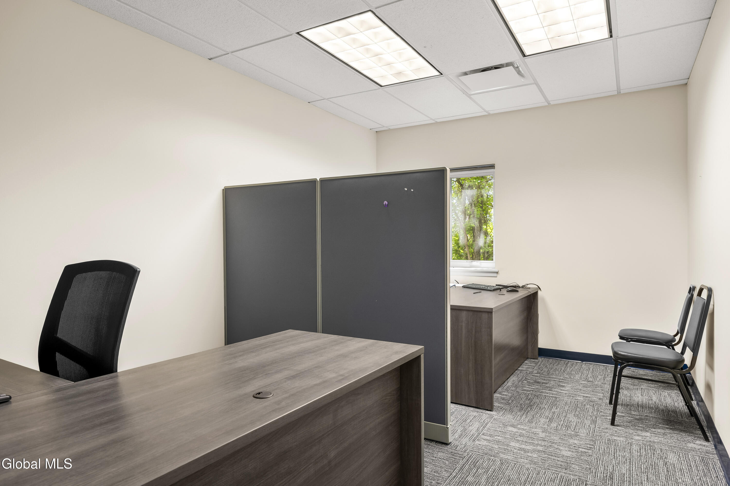 25 Delaware Avenue Delmar NY 12054