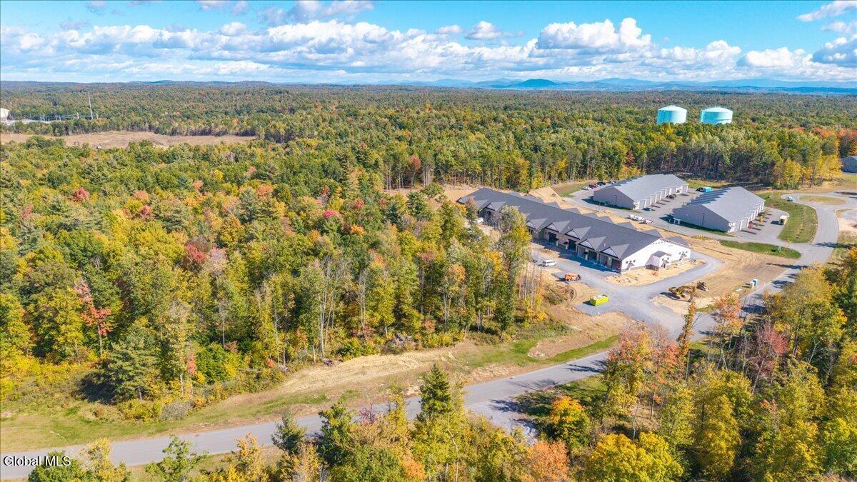 10 Shenandoah Drive Saratoga NY 12866