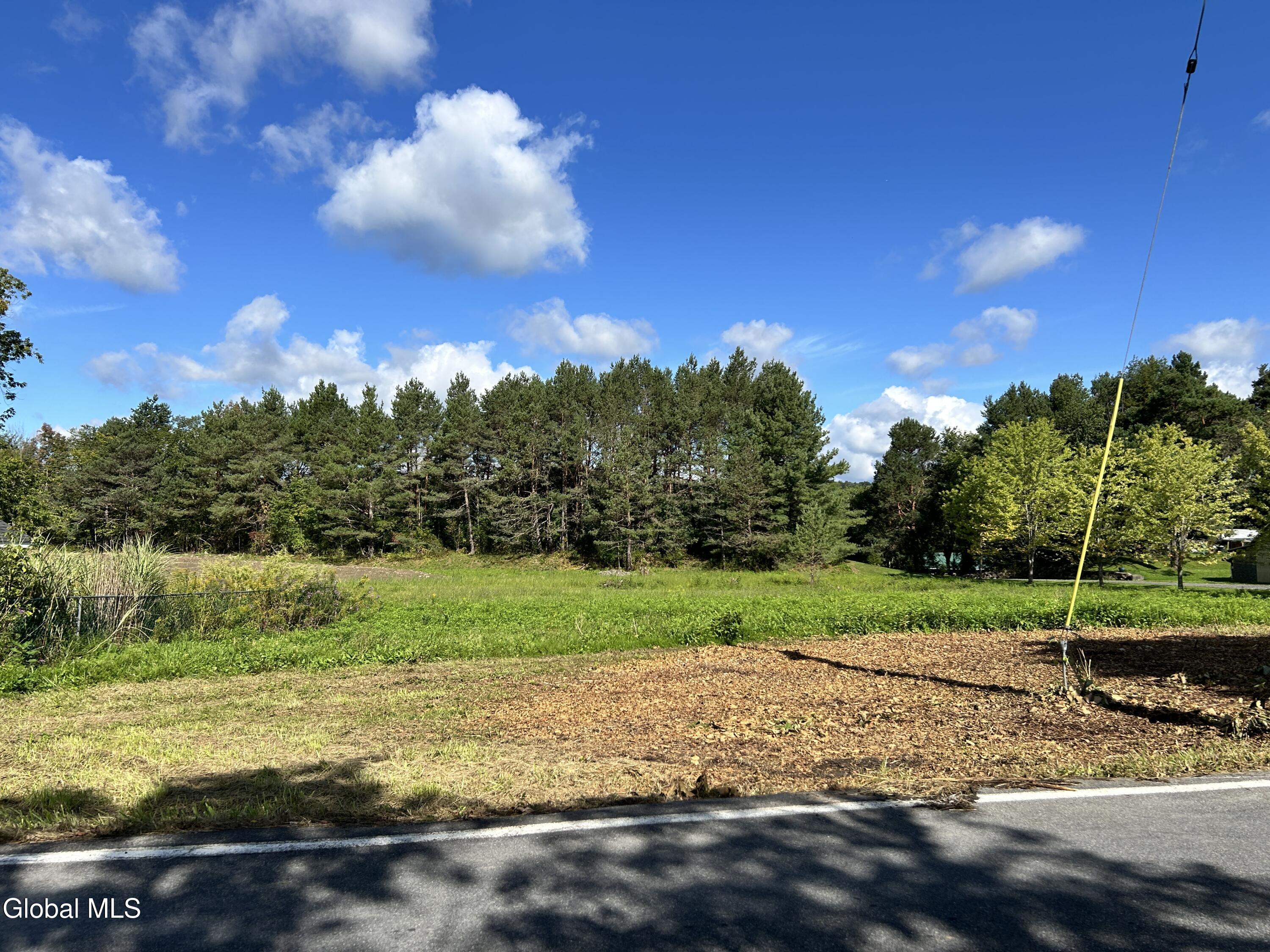 5118 Duanesburg Road Duanesburg NY 12056