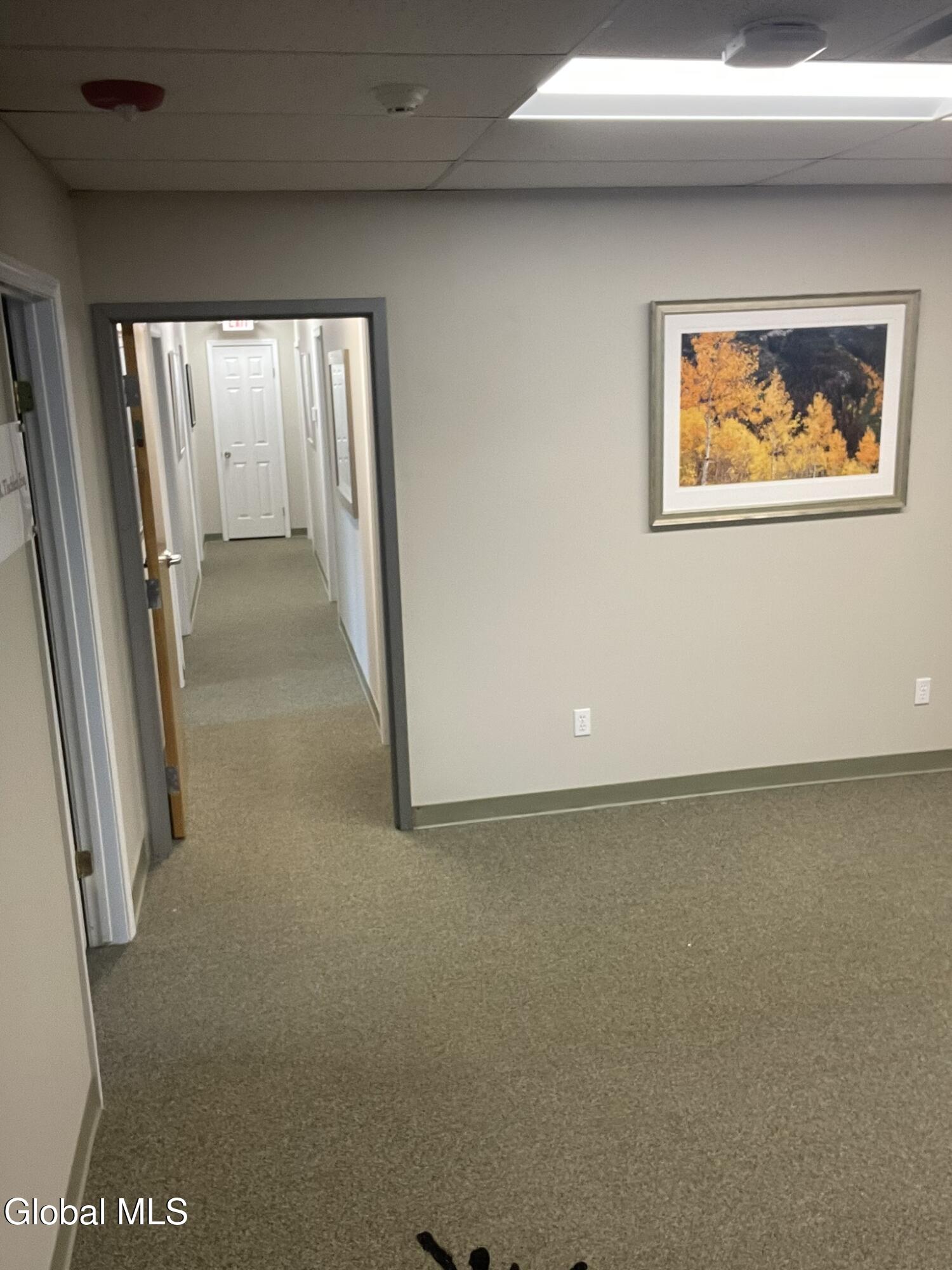 440 New Karner Road Albany NY 12205