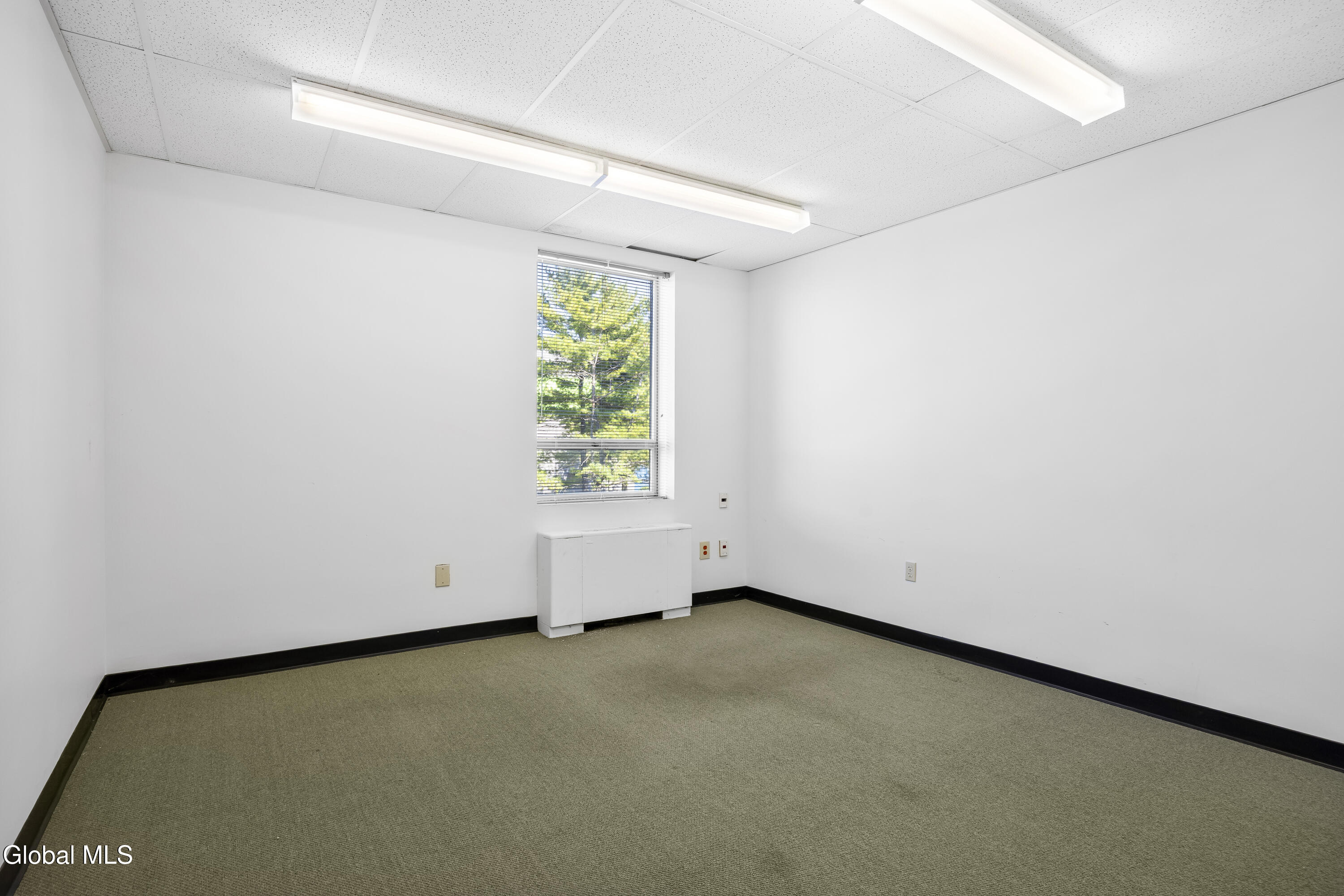 32 N Russell Road Albany NY 12205