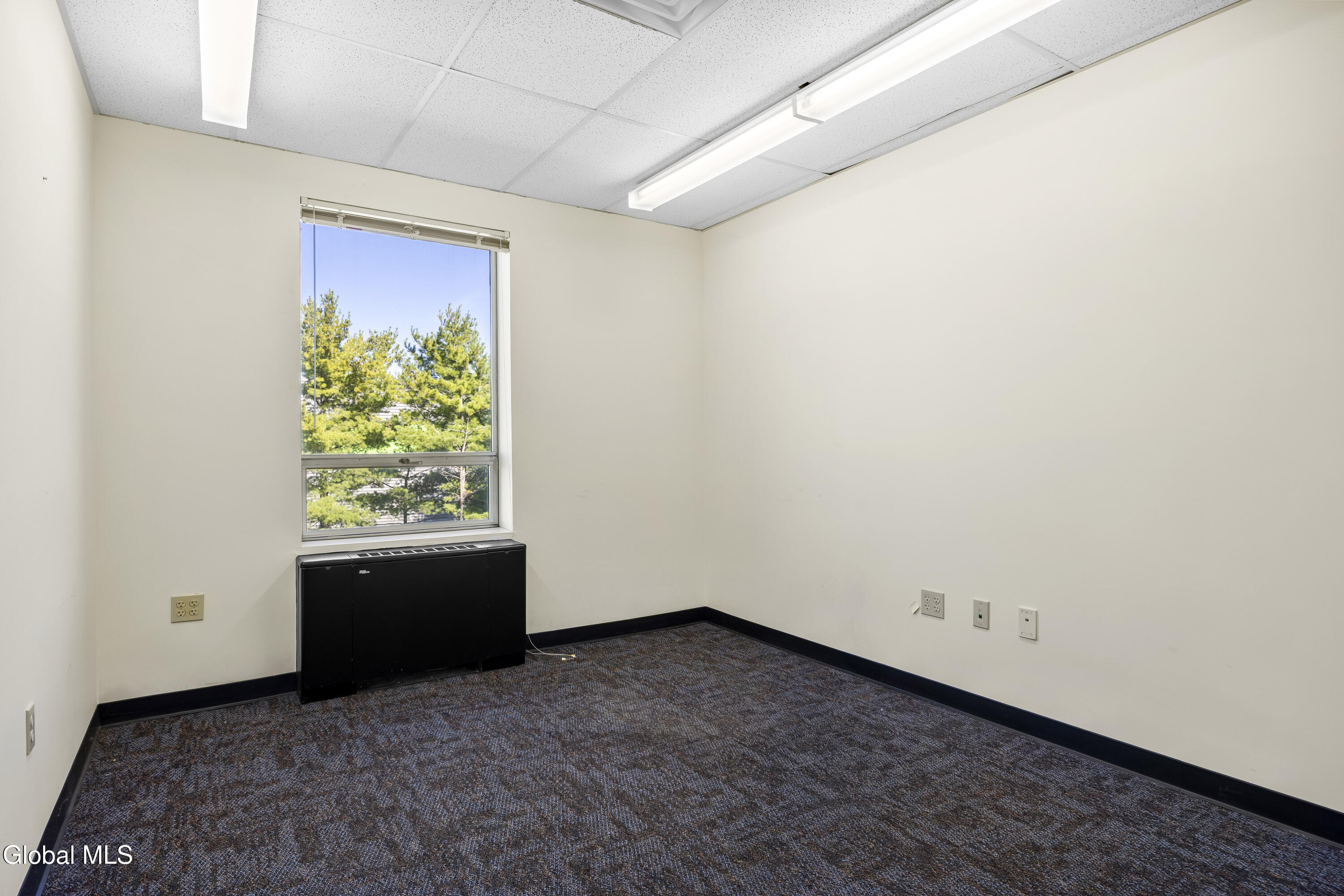 32 N Russell Road Albany NY 12205