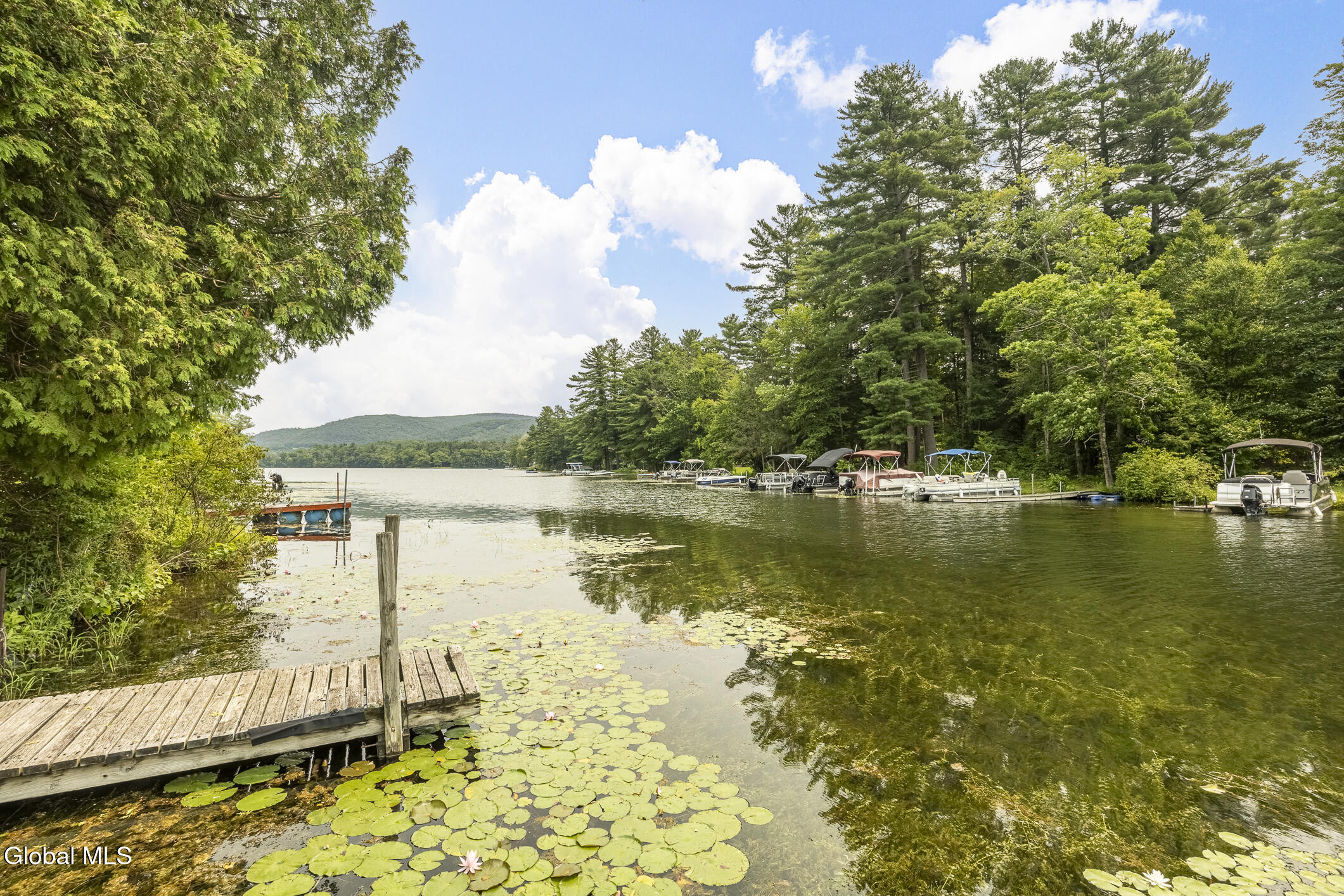 42 Queechy Lake Drive Canaan NY 12029