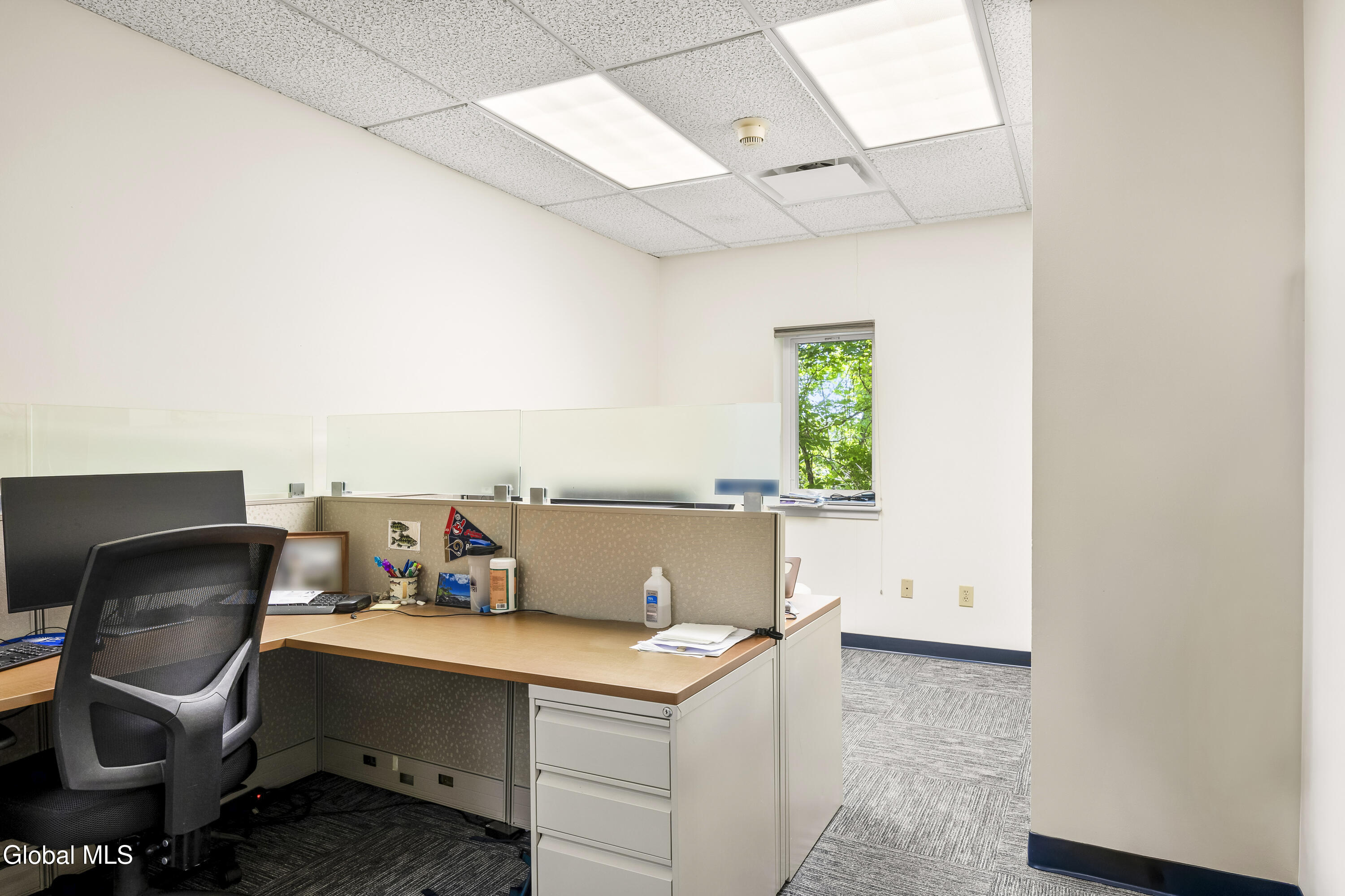 25 Delaware Avenue Delmar NY 12054