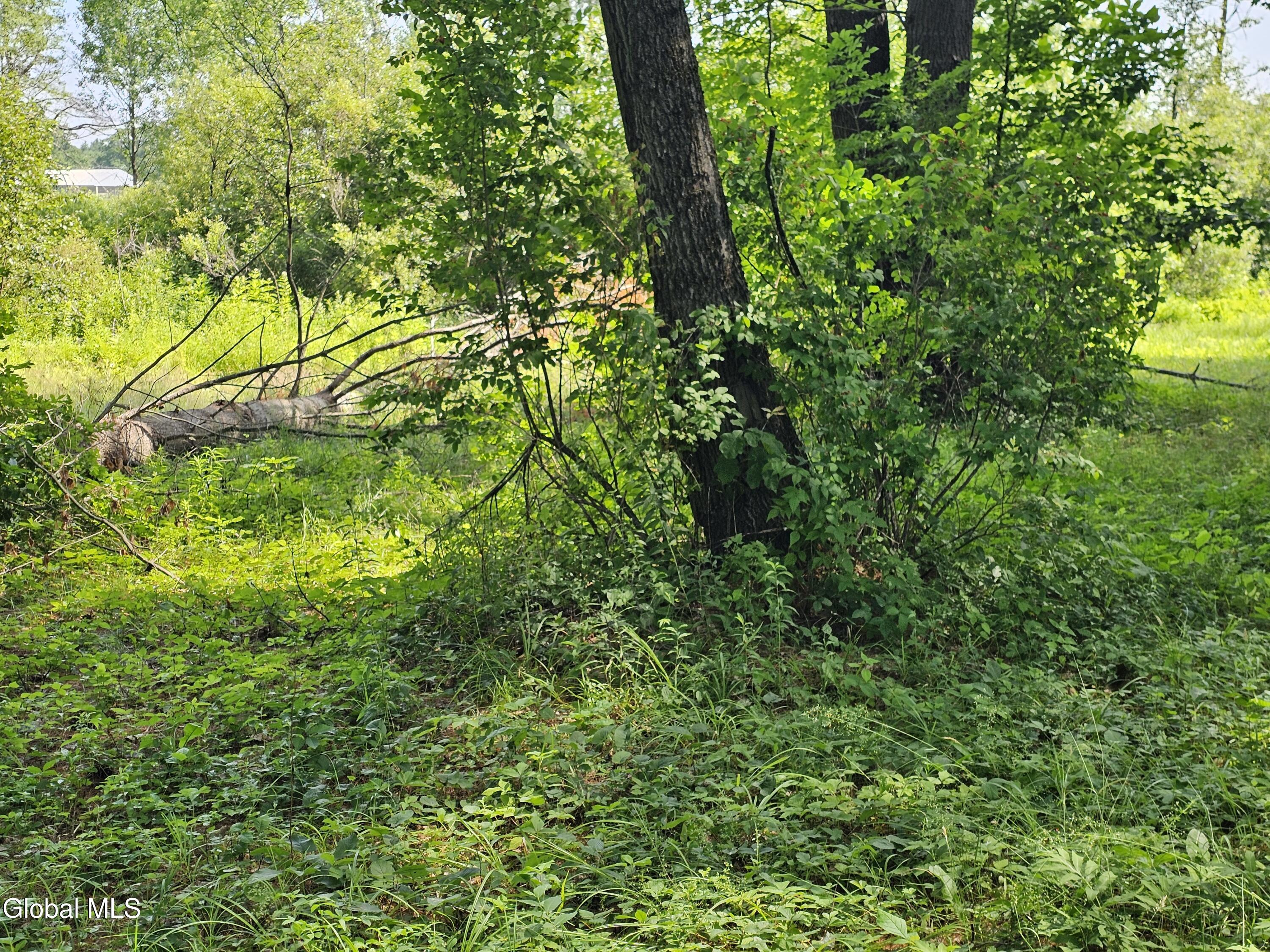 680 State Highway 29 Broadalbin NY 12025