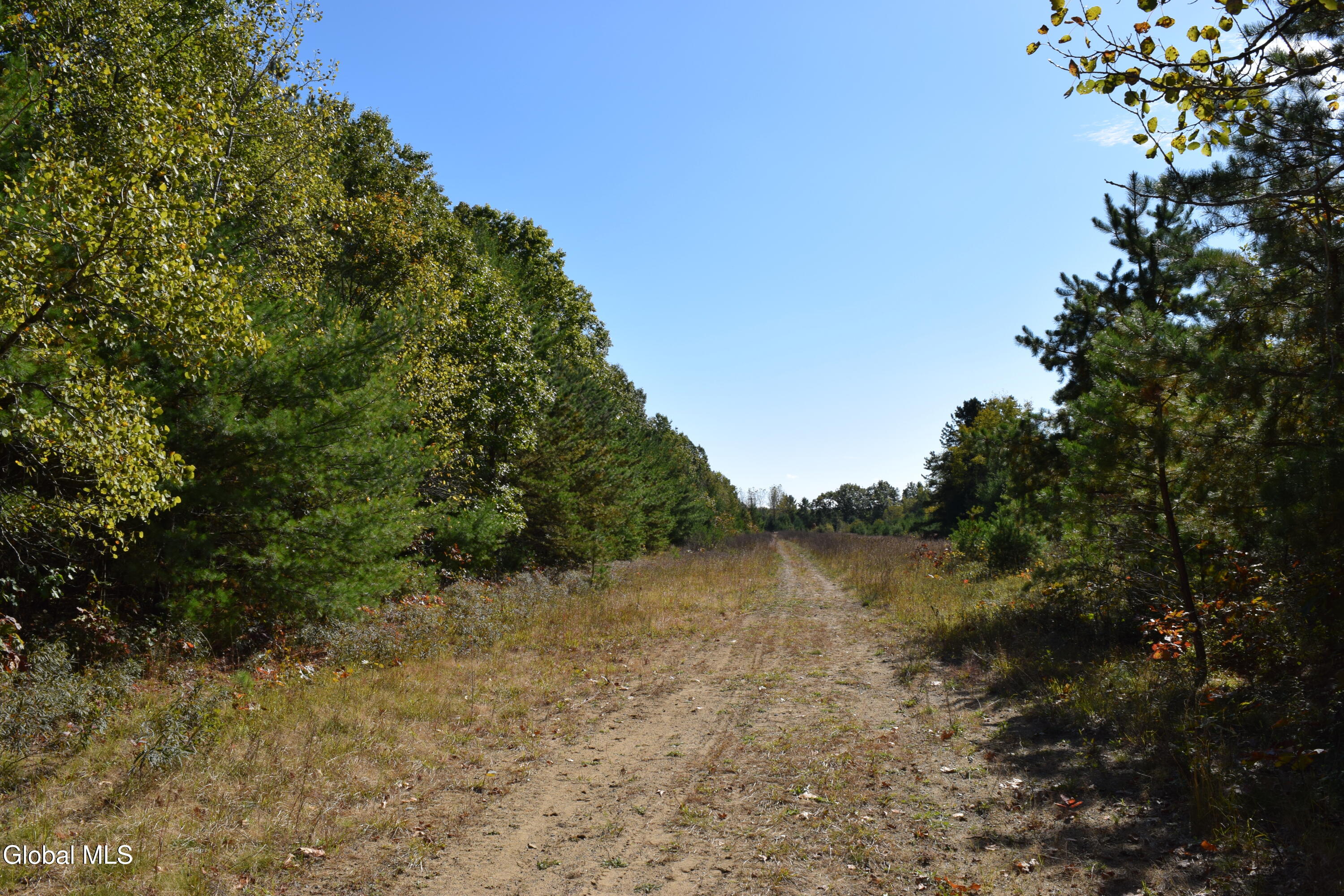 1349-1367 Route 9 Moreau NY 12828