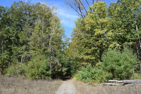 1349-1367 Route 9 Moreau NY 12828