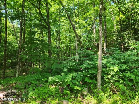 7875 State Route 9 Pottersville NY 12860
